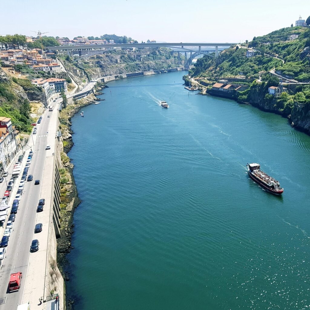 pexels aliakbar 3555506