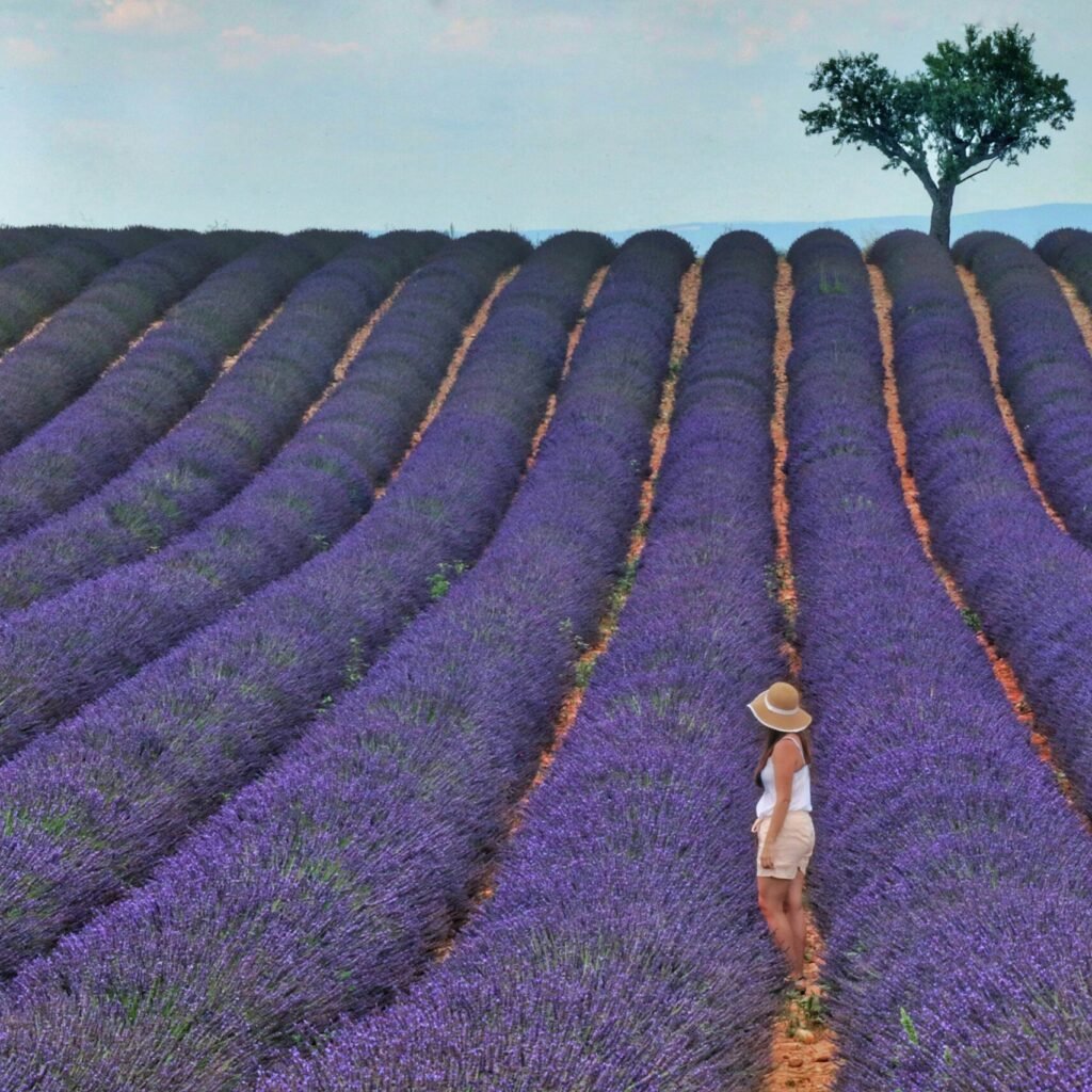 pexels baraa jalahej 691192 3674014