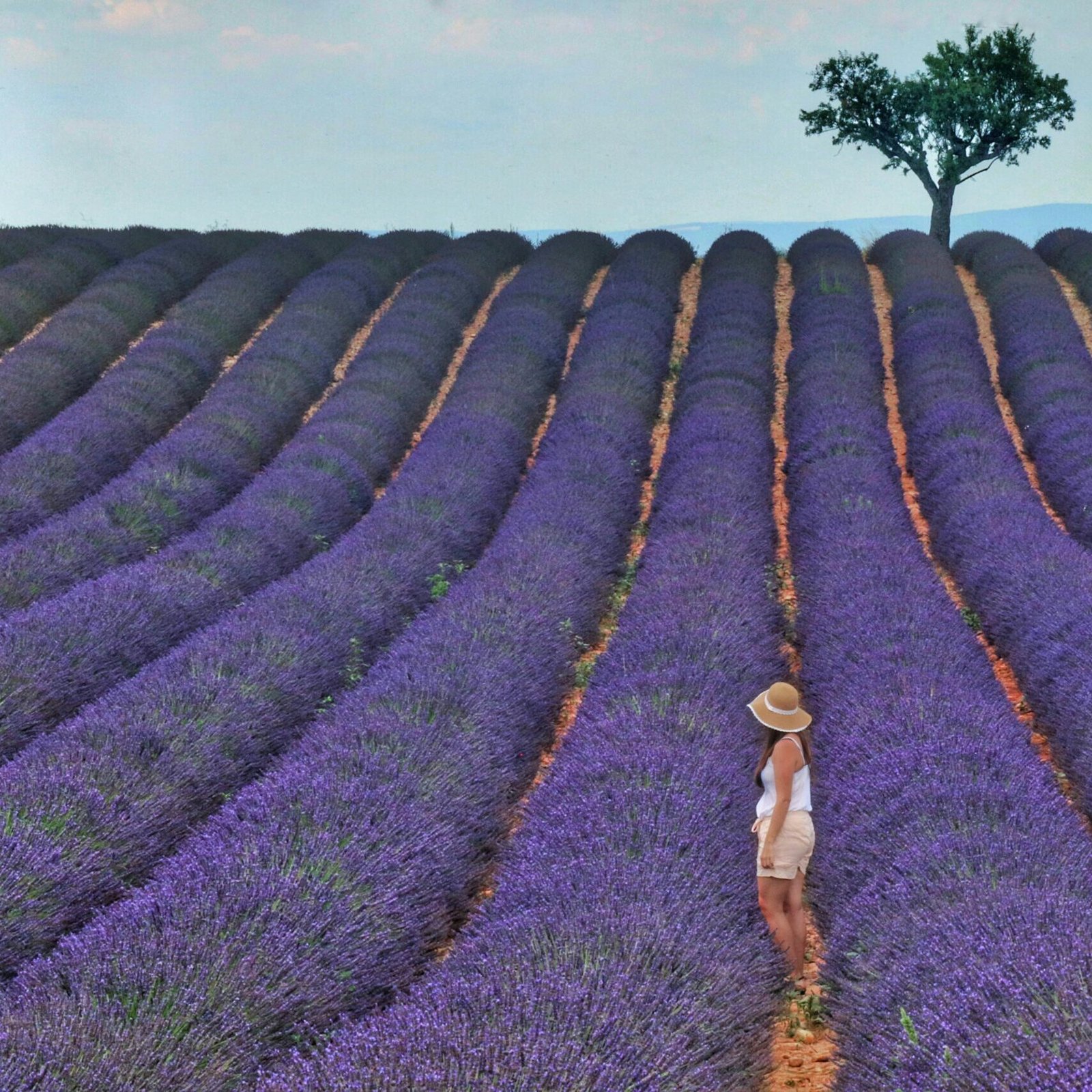 pexels baraa jalahej 691192 3674014