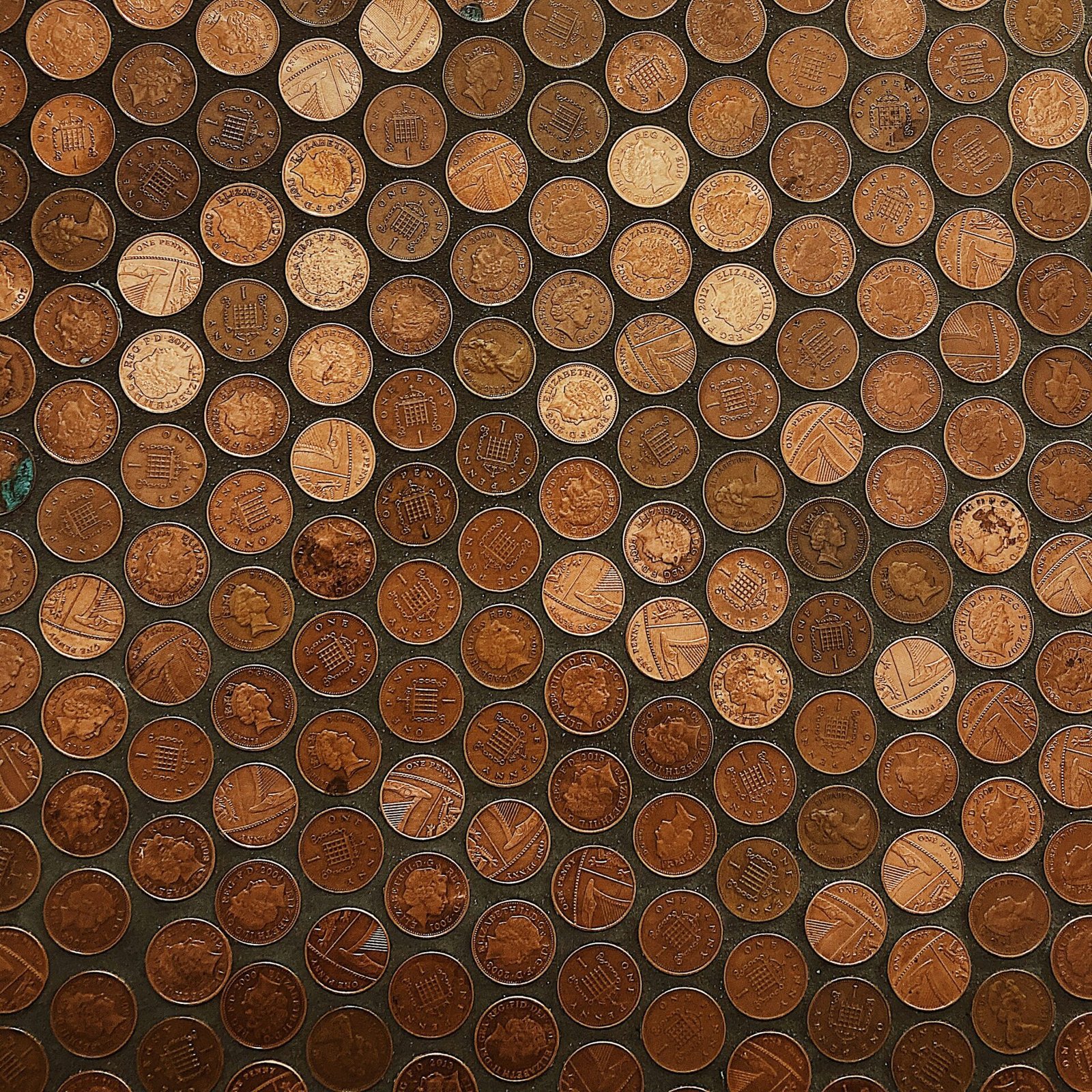 madalyn cox tg72jfjeedg unsplash