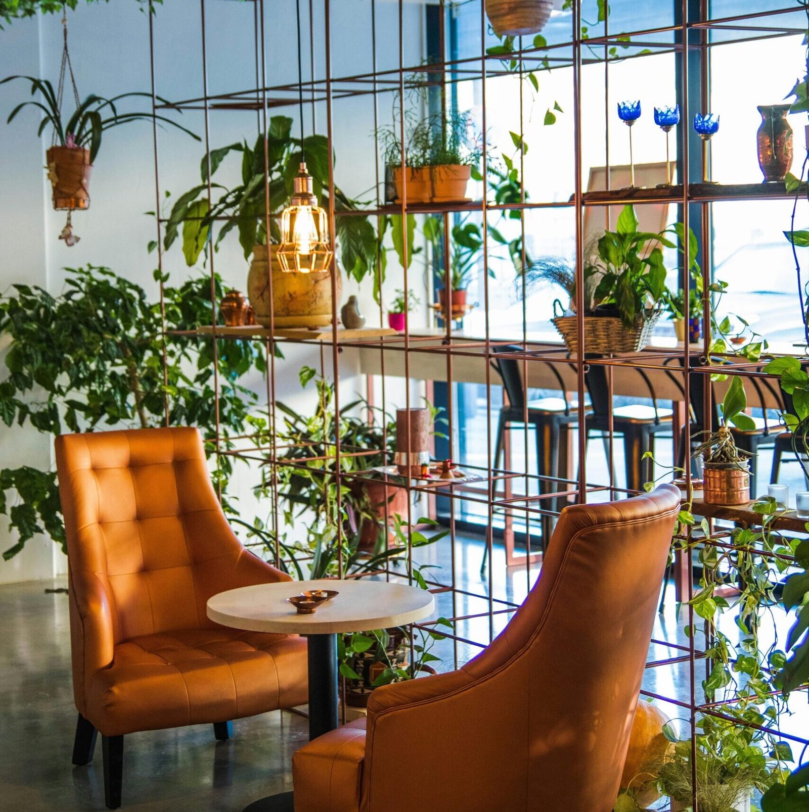 pexels valeriya 827518