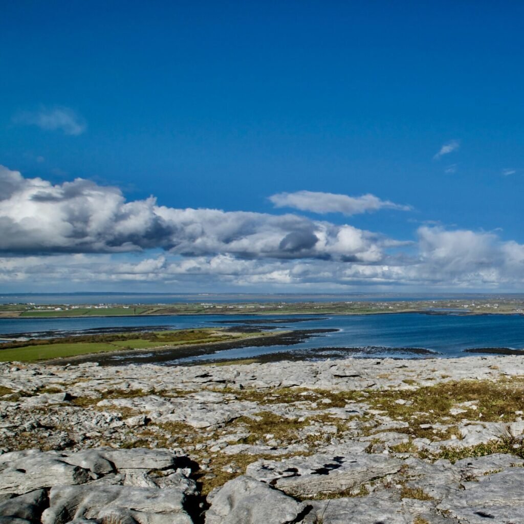 rachel lillis 6ex2ss6c 3w unsplash